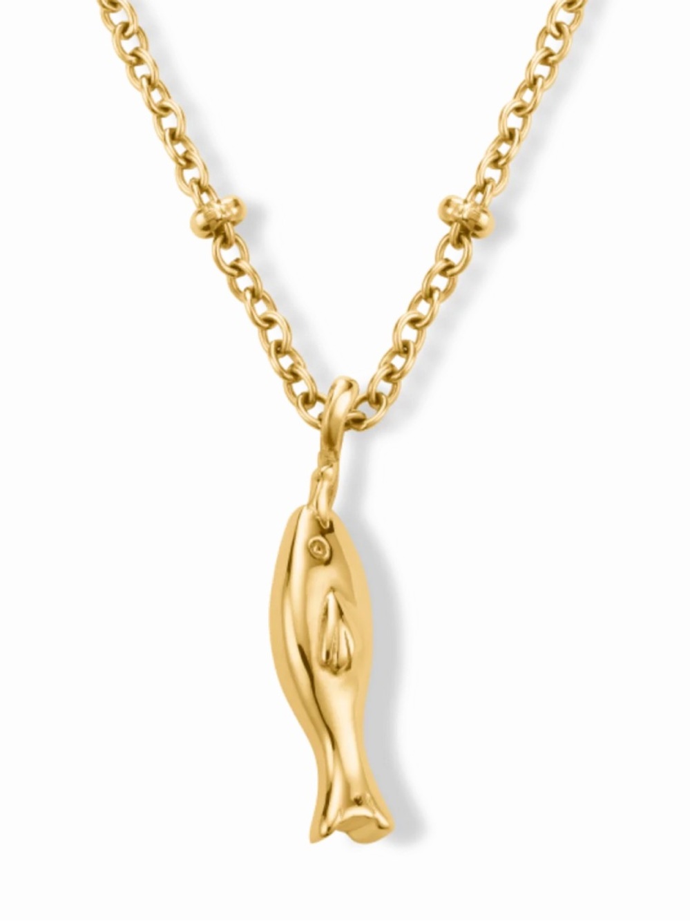 Hey Harper Sardine Charm Necklace